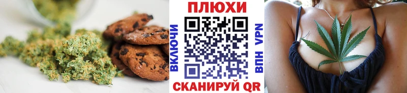 omg рабочий сайт  Долгопрудный  shop формула  магазин продажи   Canna-Cookies марихуана 