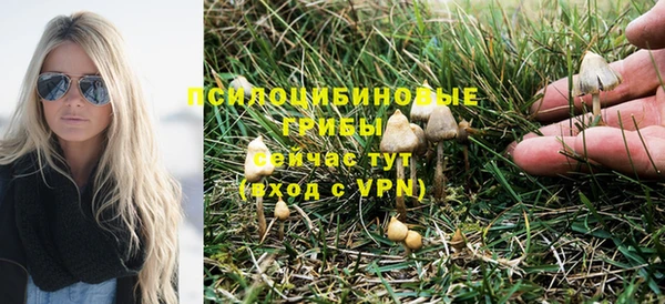 прущая мука Заволжск