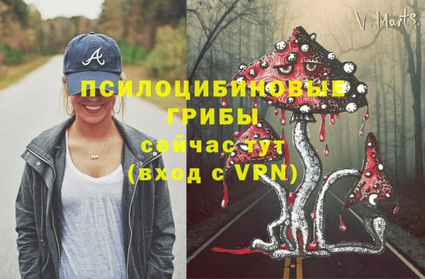 прущая мука Заволжск