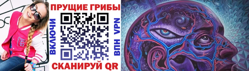 Псилоцибиновые грибы GOLDEN TEACHER  Долгопрудный 